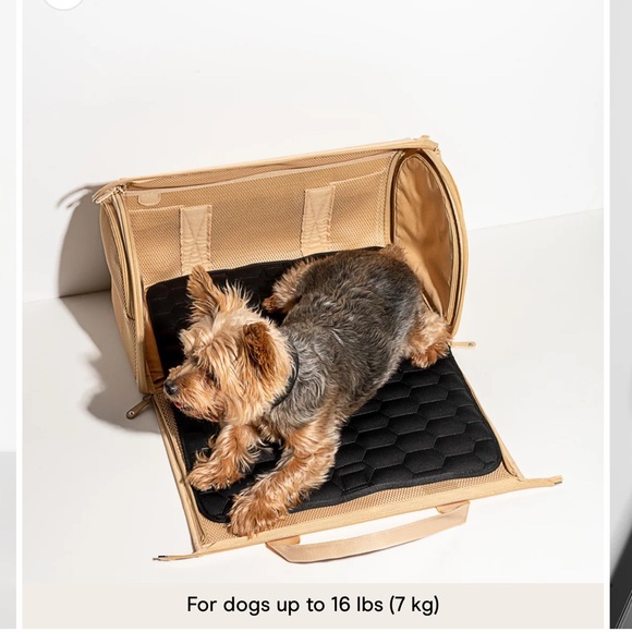 Wild One Dog Carrier - Picture 2 of 4